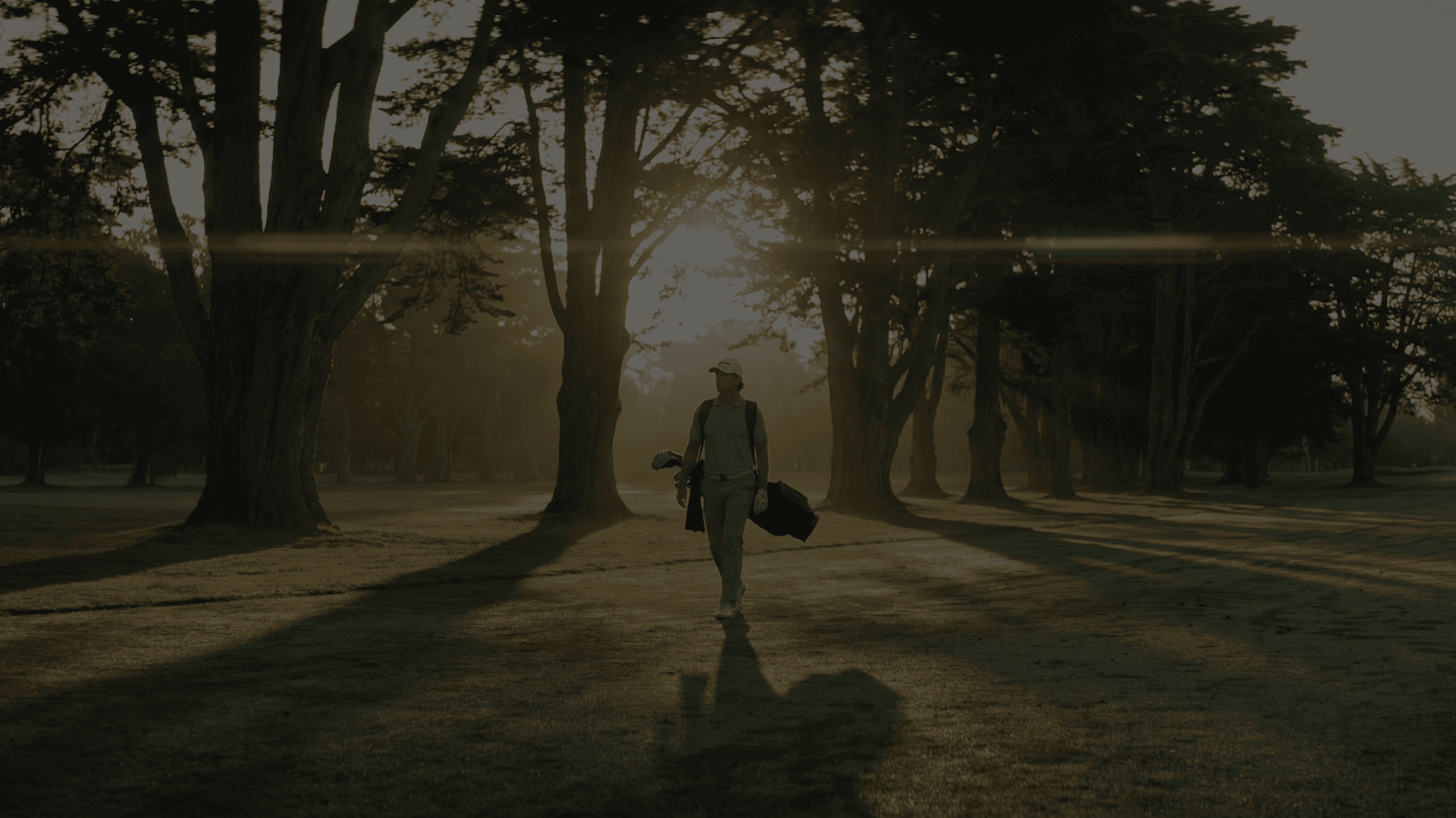 bird's eye photo of grass field