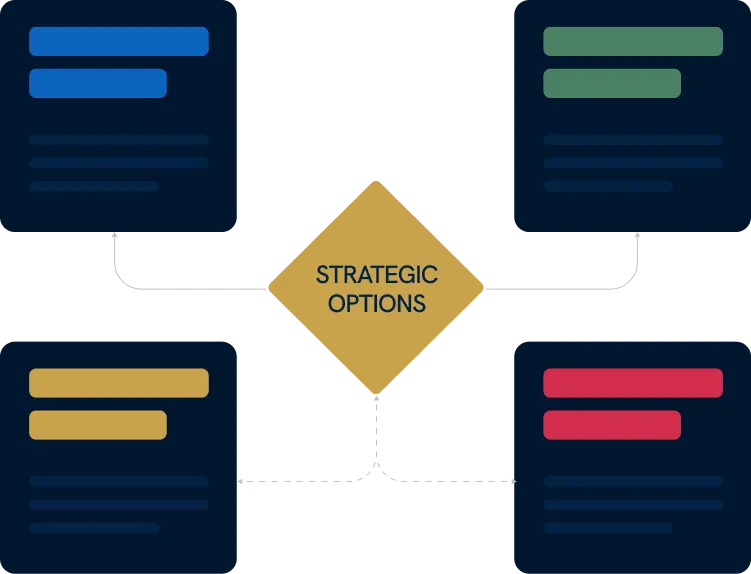 Diagram showing four strategic options branching from a central decision point.