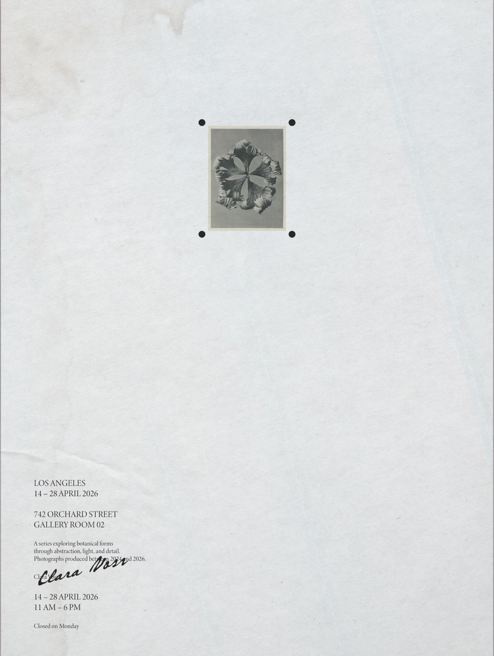 Twentytwo-ClaraVoss-4
