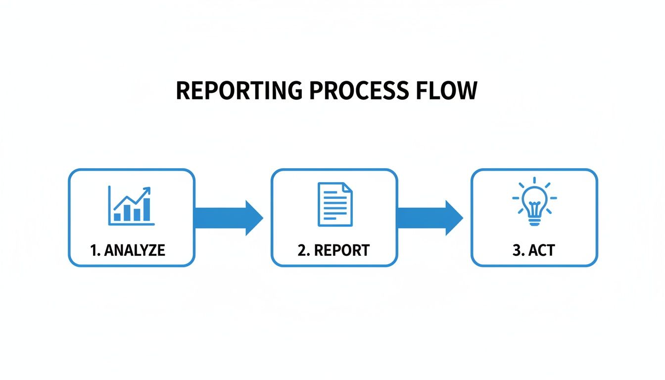 A three-step reporting process flow diagram showing analyze, report, and act stages.