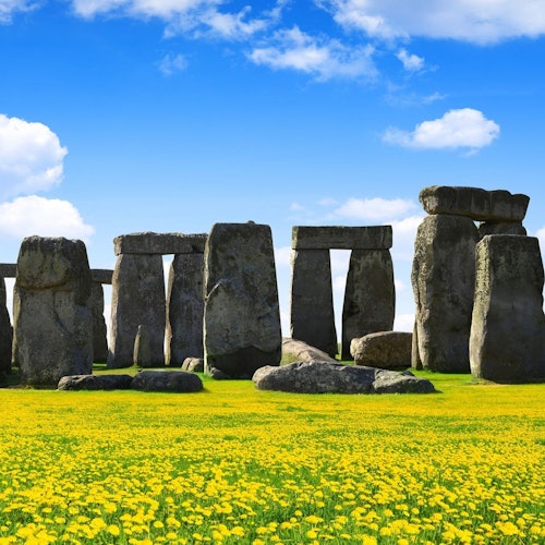 Der Steinkreis von Stonehenge ist von einem Feld gelber Blumen umgeben, unter einem teils bewölkten blauen Himmel.