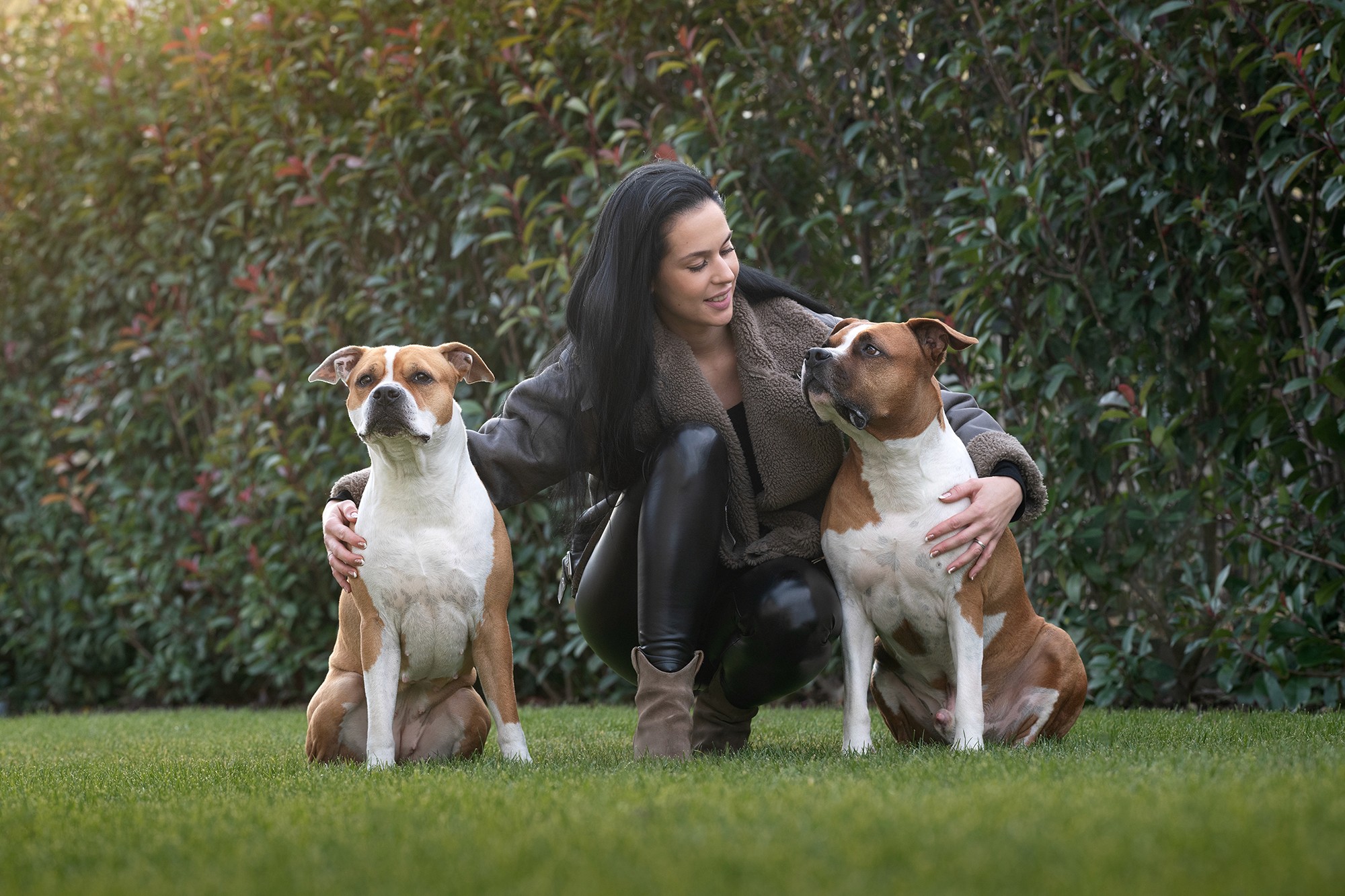 dog with mouth protector