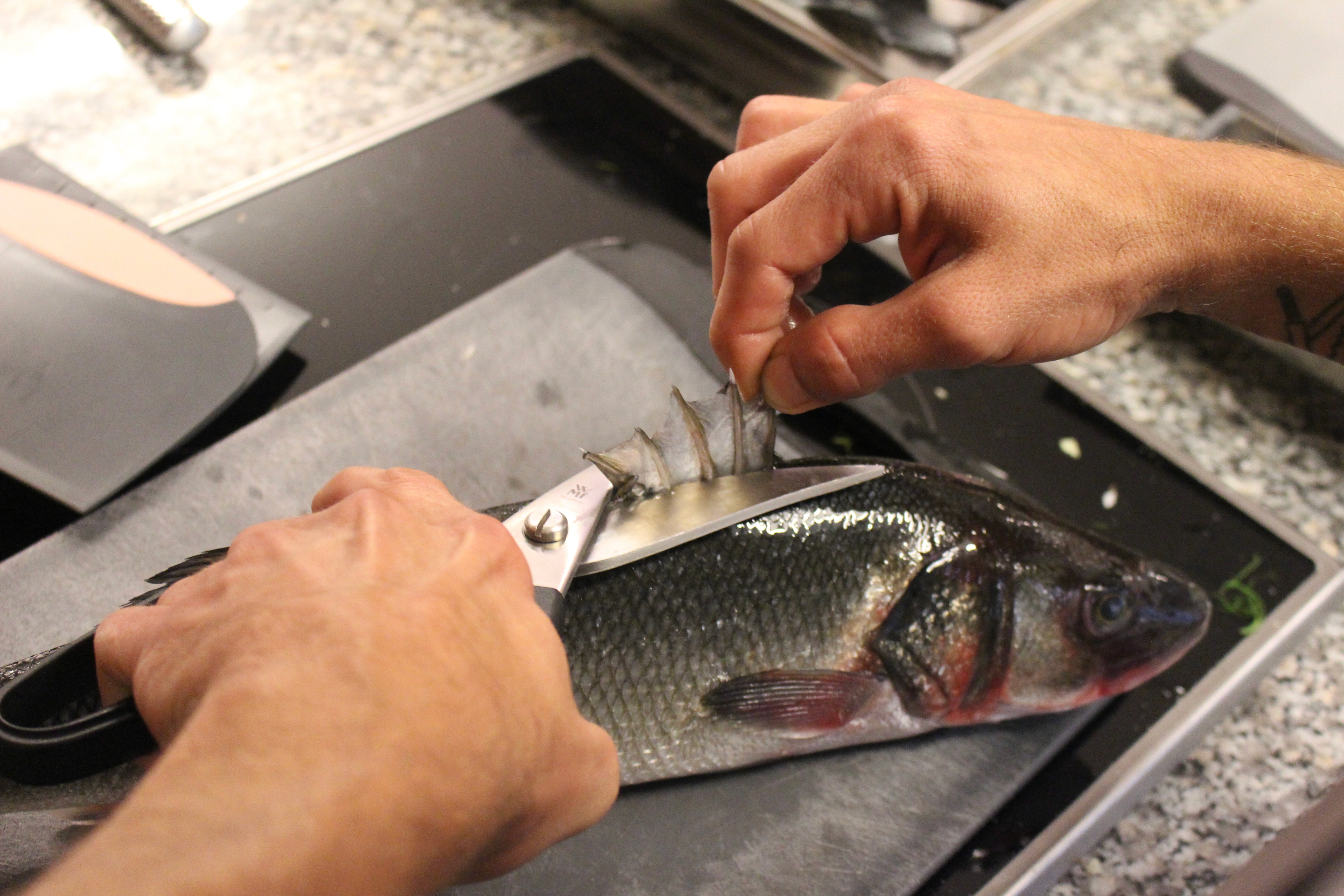 Roher Fisch wird zur weiteren Verwendung vorbereitet