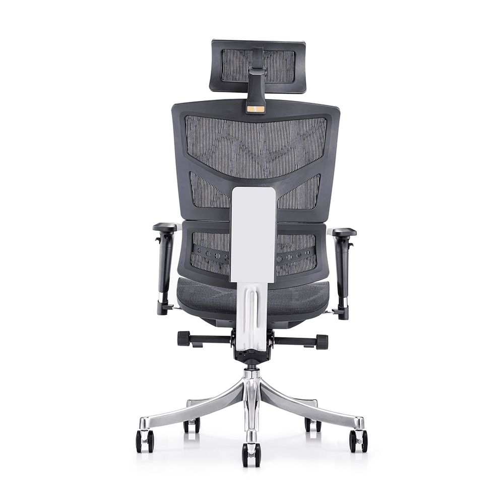 Back view of an ergonomic desk chair featuring a split-back mesh design, white lumbar support panel, and a polished aluminum 5-star base.
