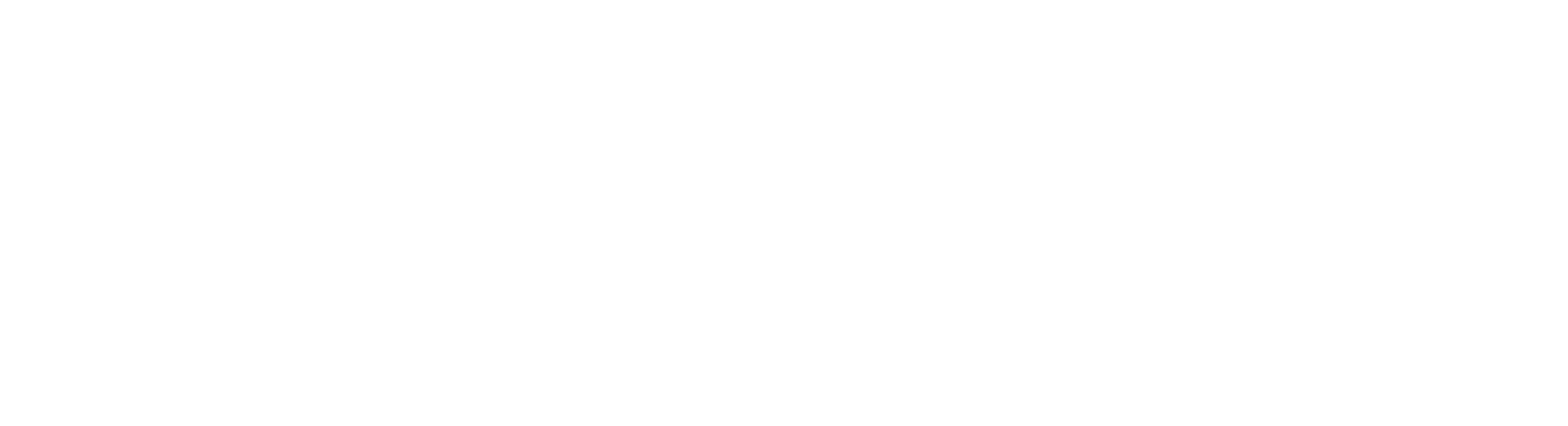 TEM