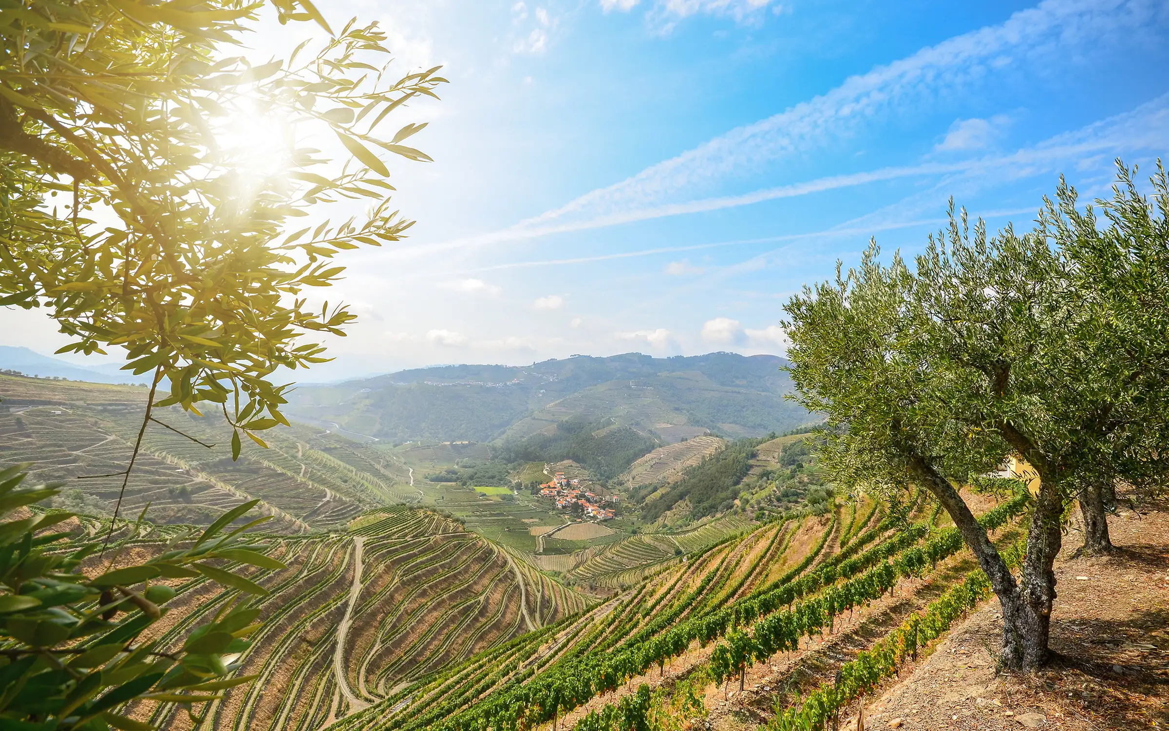 Fra vingård til vingård i Duoro-dalen, Portugal | Expa Travel