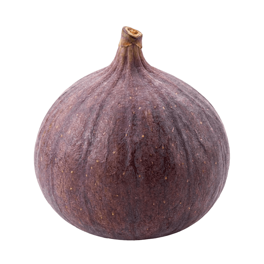 Fig