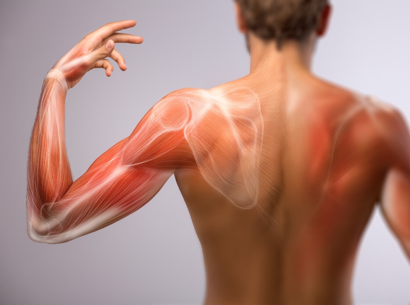 how to lose body fat without losing weight