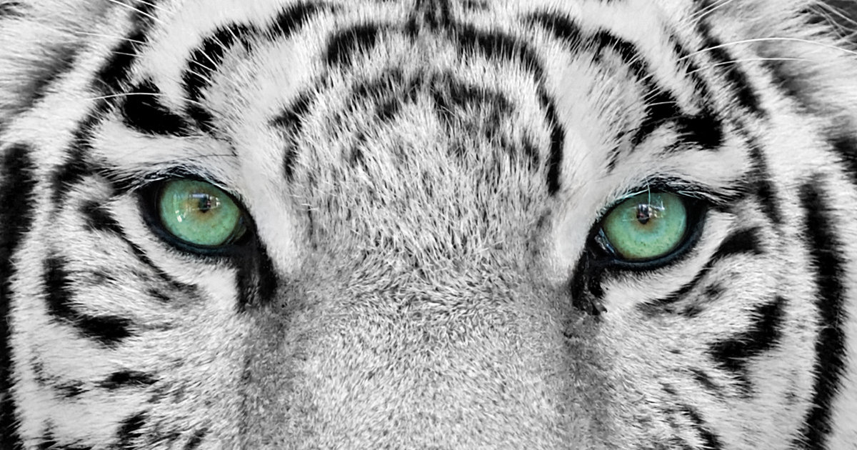 ""