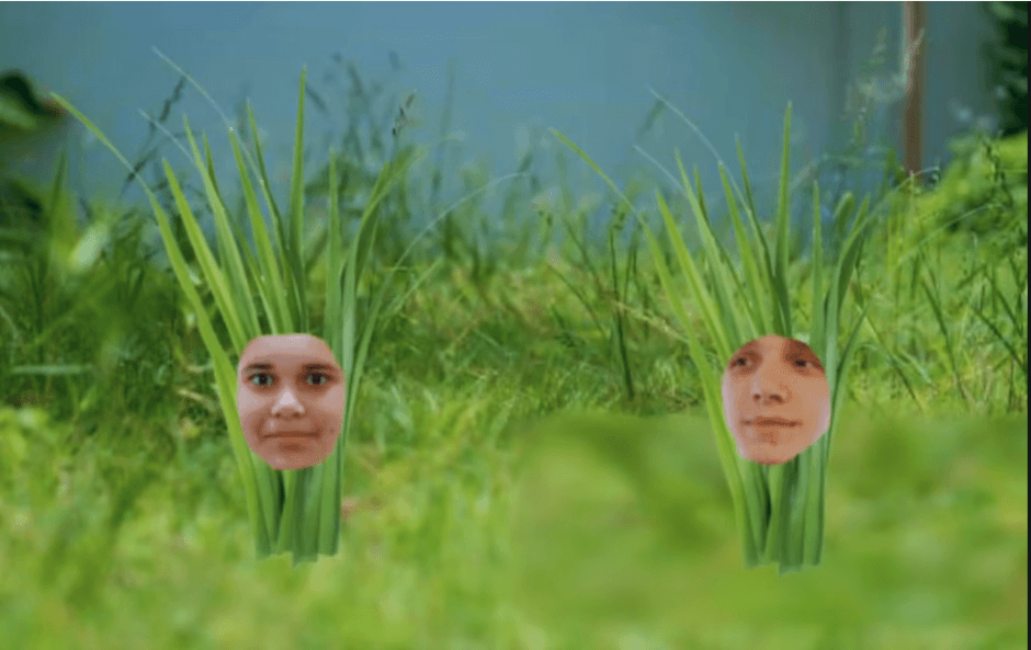 Landscaping & Gardening