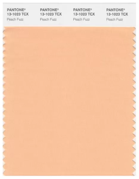 PANTONE 13-1023 Peach Fuzz 