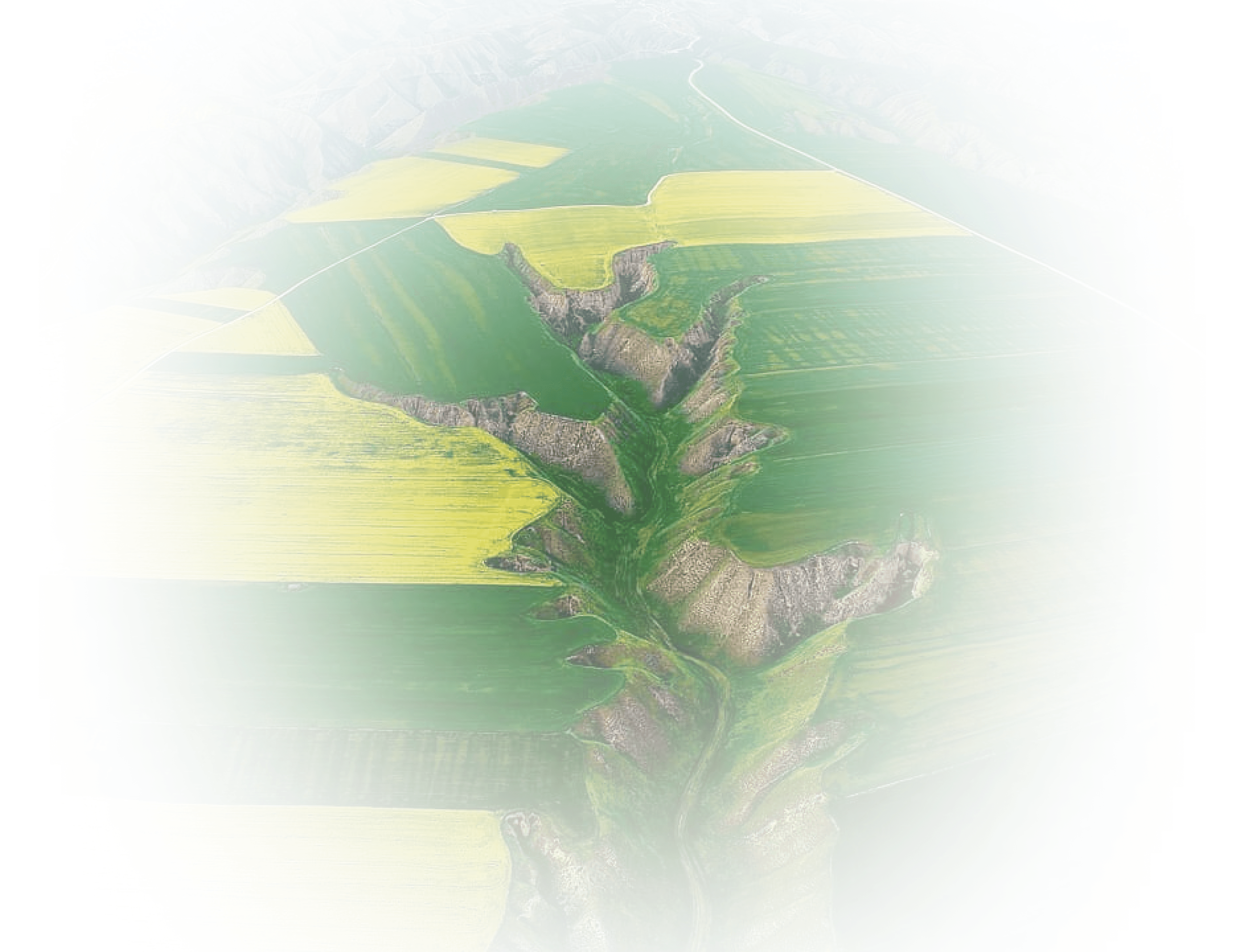 BG Image