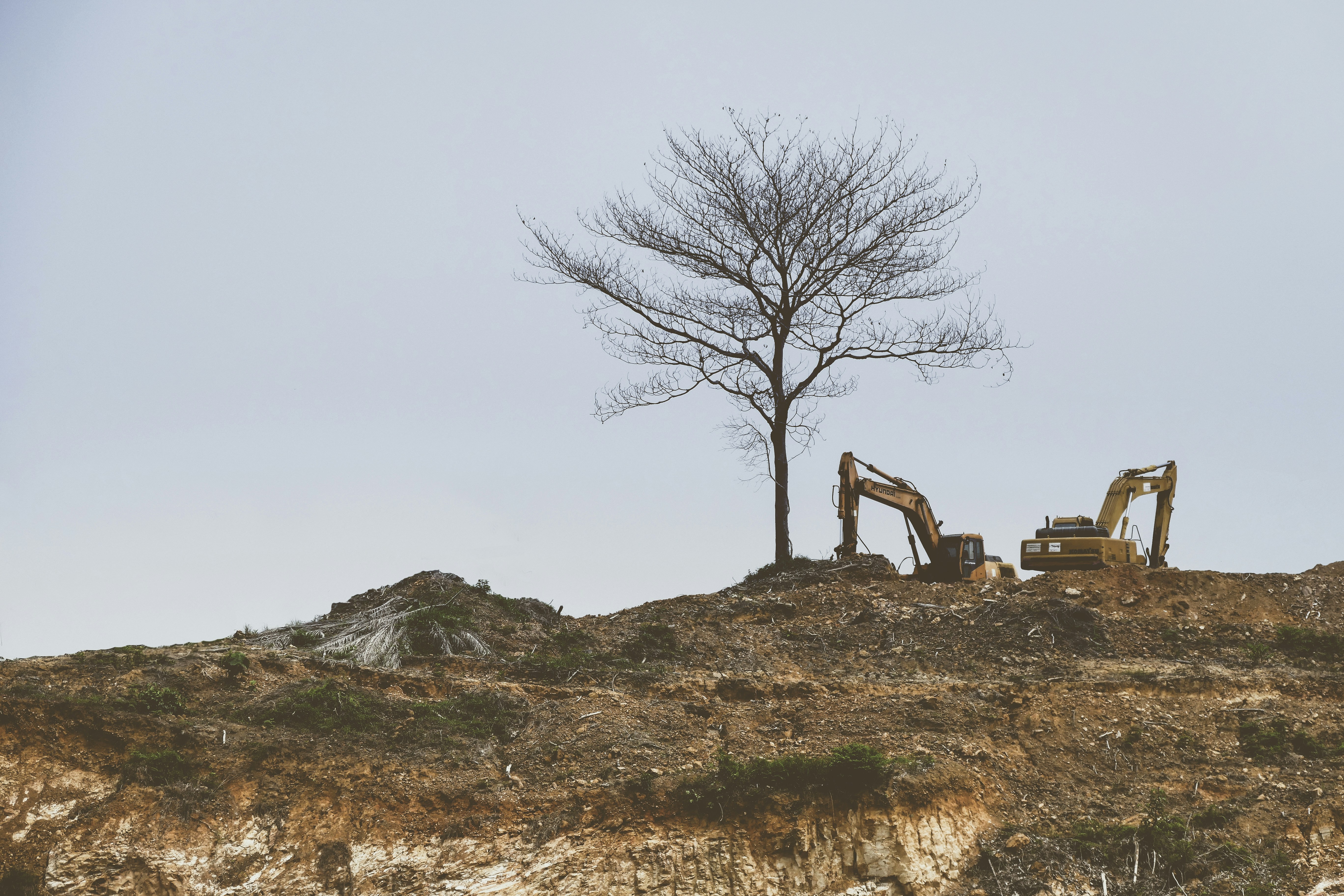 Excavators on a barren hill with a lone leafless tree under a clear sky.