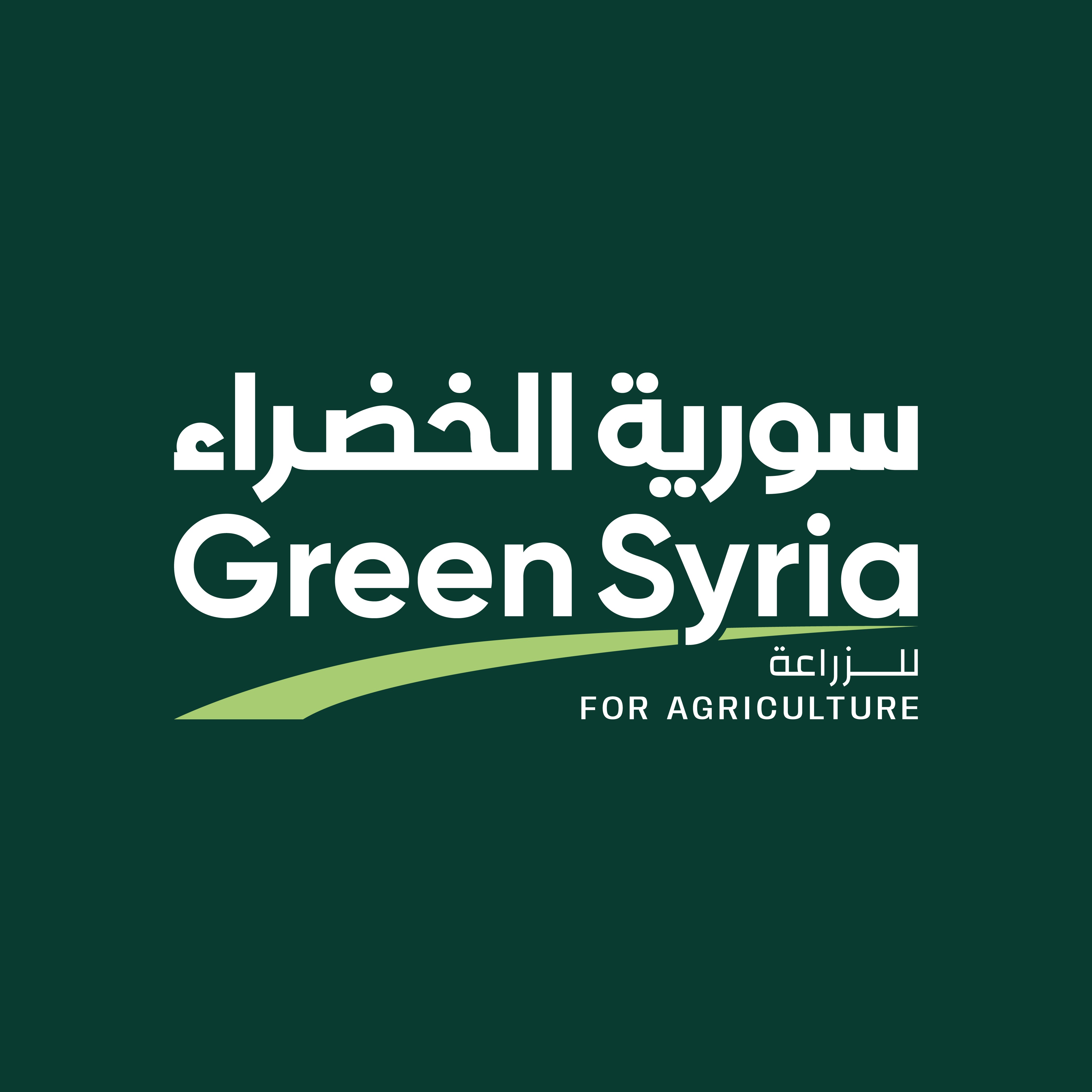 Minimalist Fashion Portrait