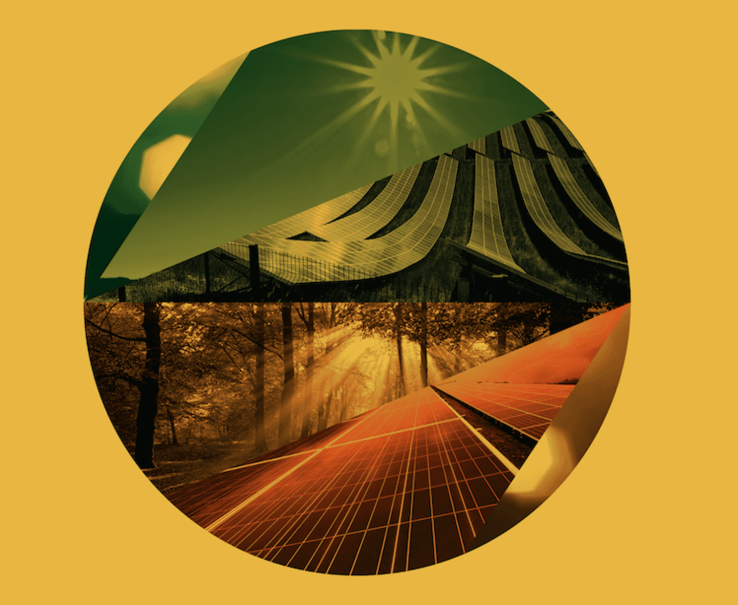 Ortadan bölünmüş dairesel bir kolaj görseli.