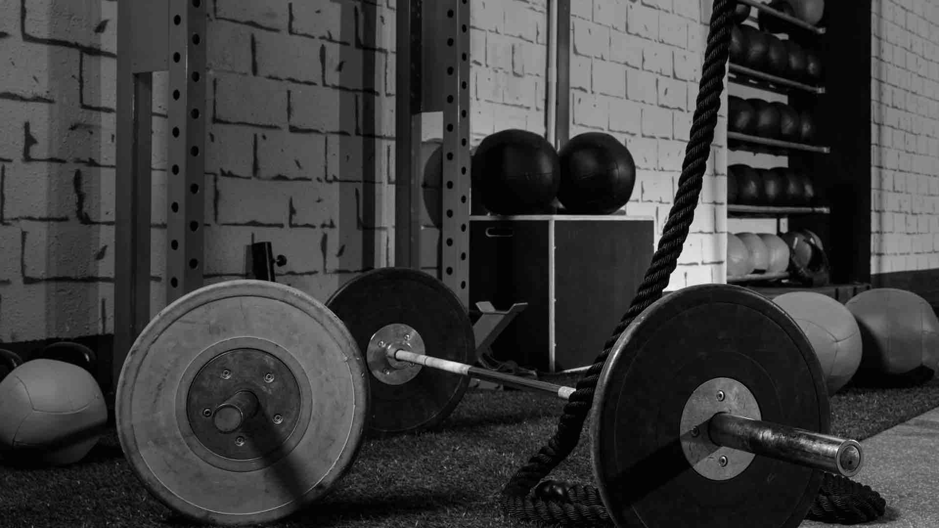 barbells and medicine balls
