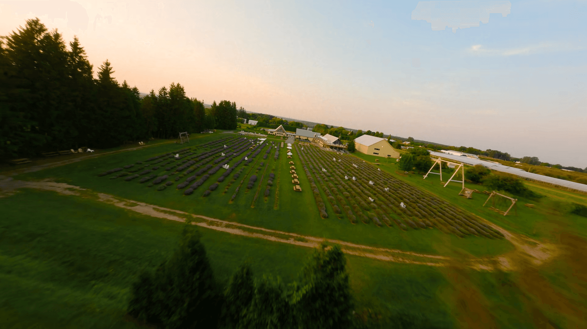 aerial view of the fields of Maison Lavande