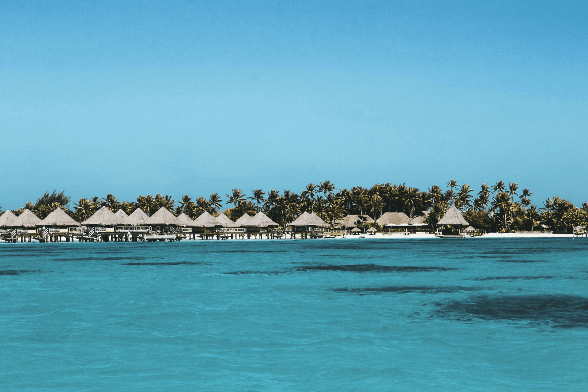 Ozean mit Strandhütten, Palmen und blauem Himmel. Urlaubsparadies am Meer, exotische Destination.