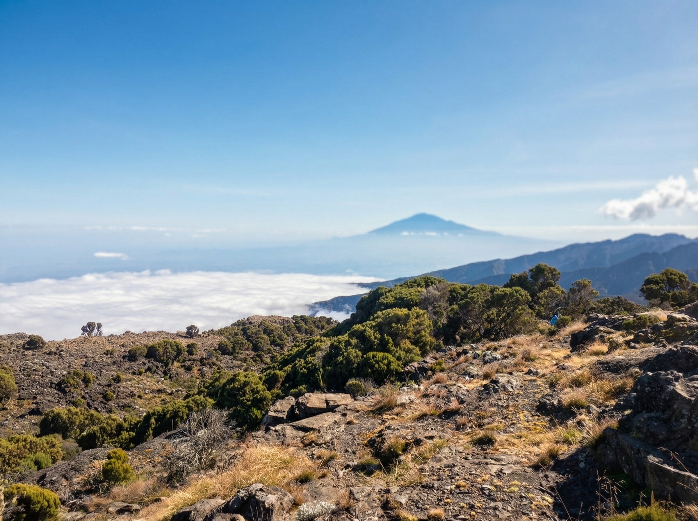 Desert cliffs in AlUla under warm sunlight.