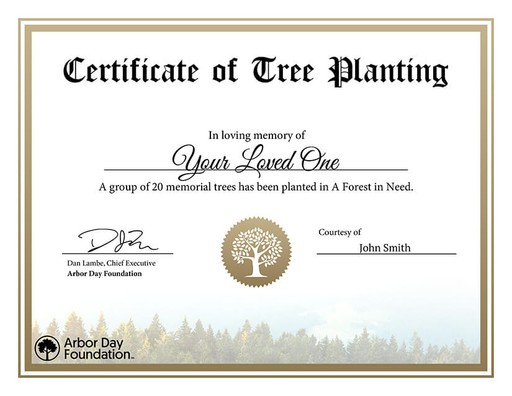 Plant a Memorial Tree for a Loved One | Tree Donations