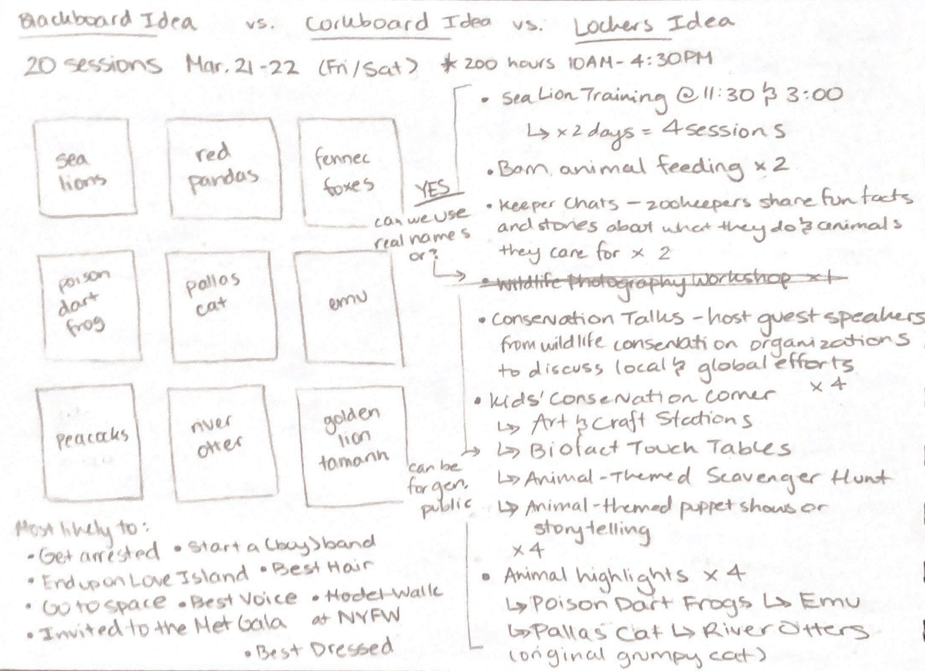 Brochure Sketches