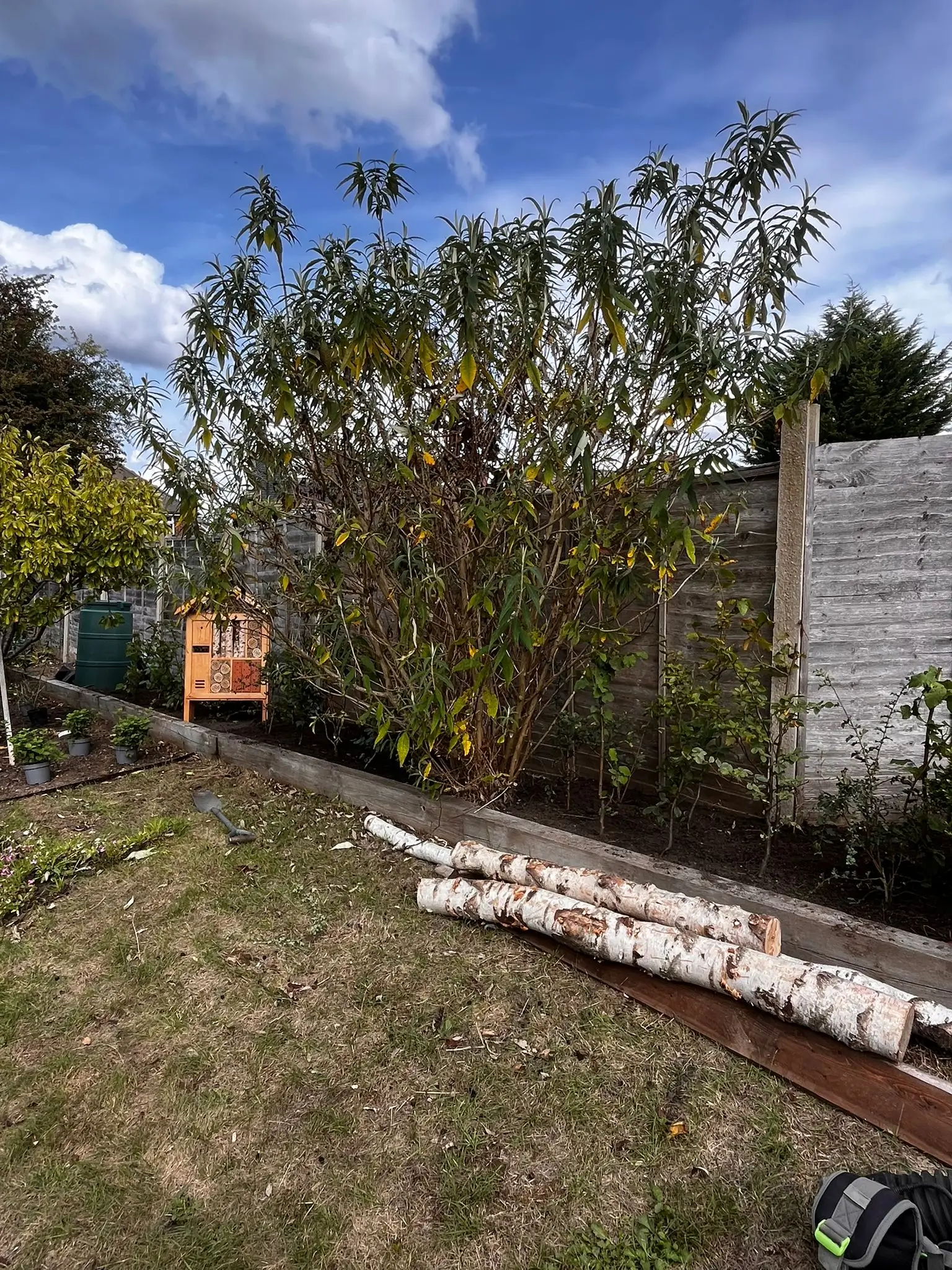 A sunny outdoor scene featuring a garden with green foliage and a stone pathway. Blue sky with some clouds.