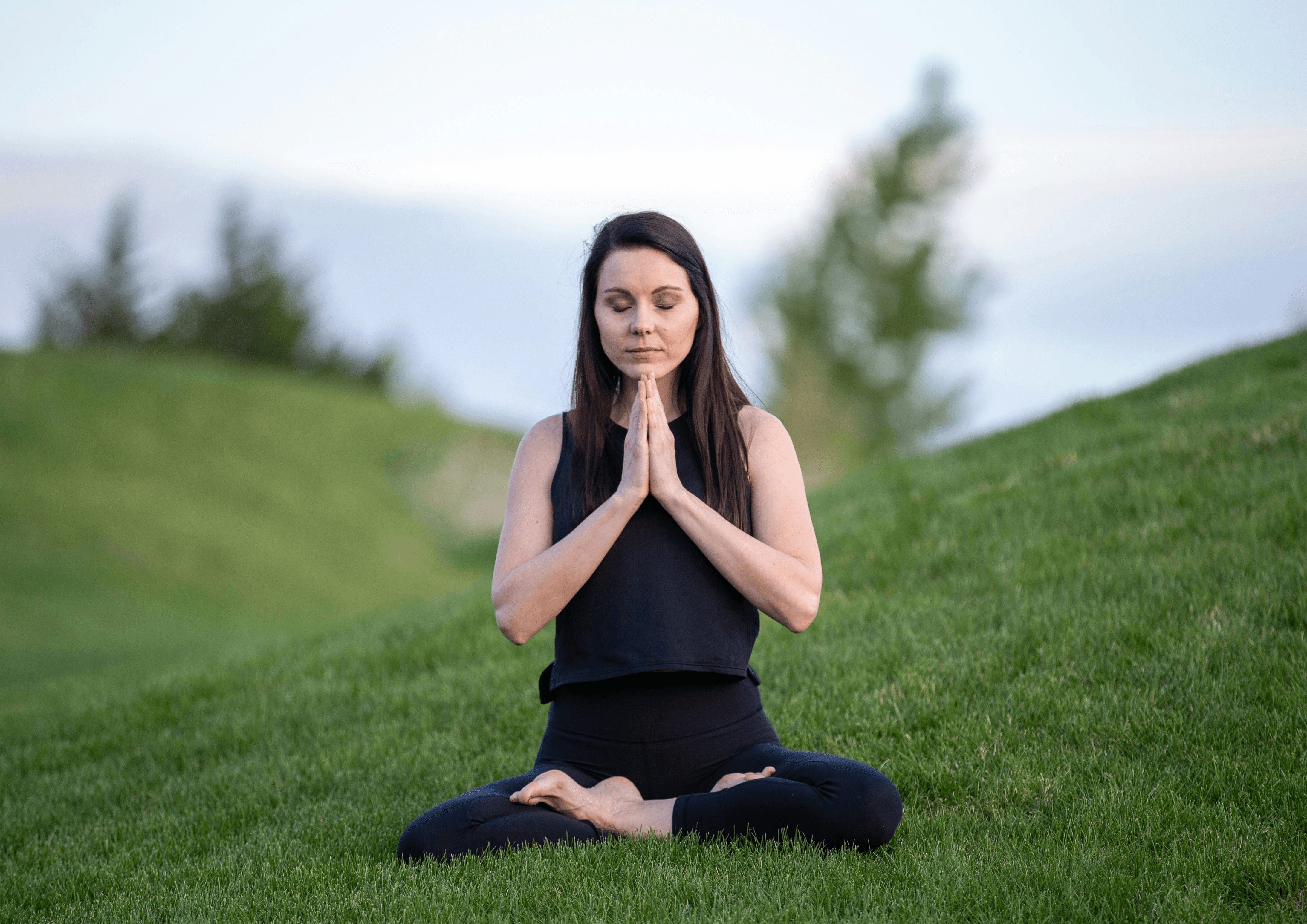 Acujoint PNS Structure