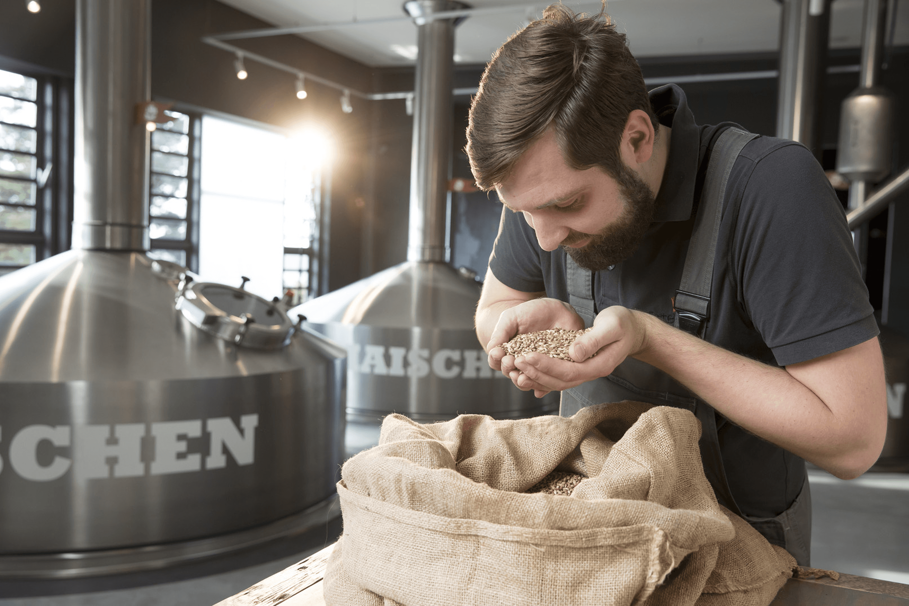 Brewer examines grains.
