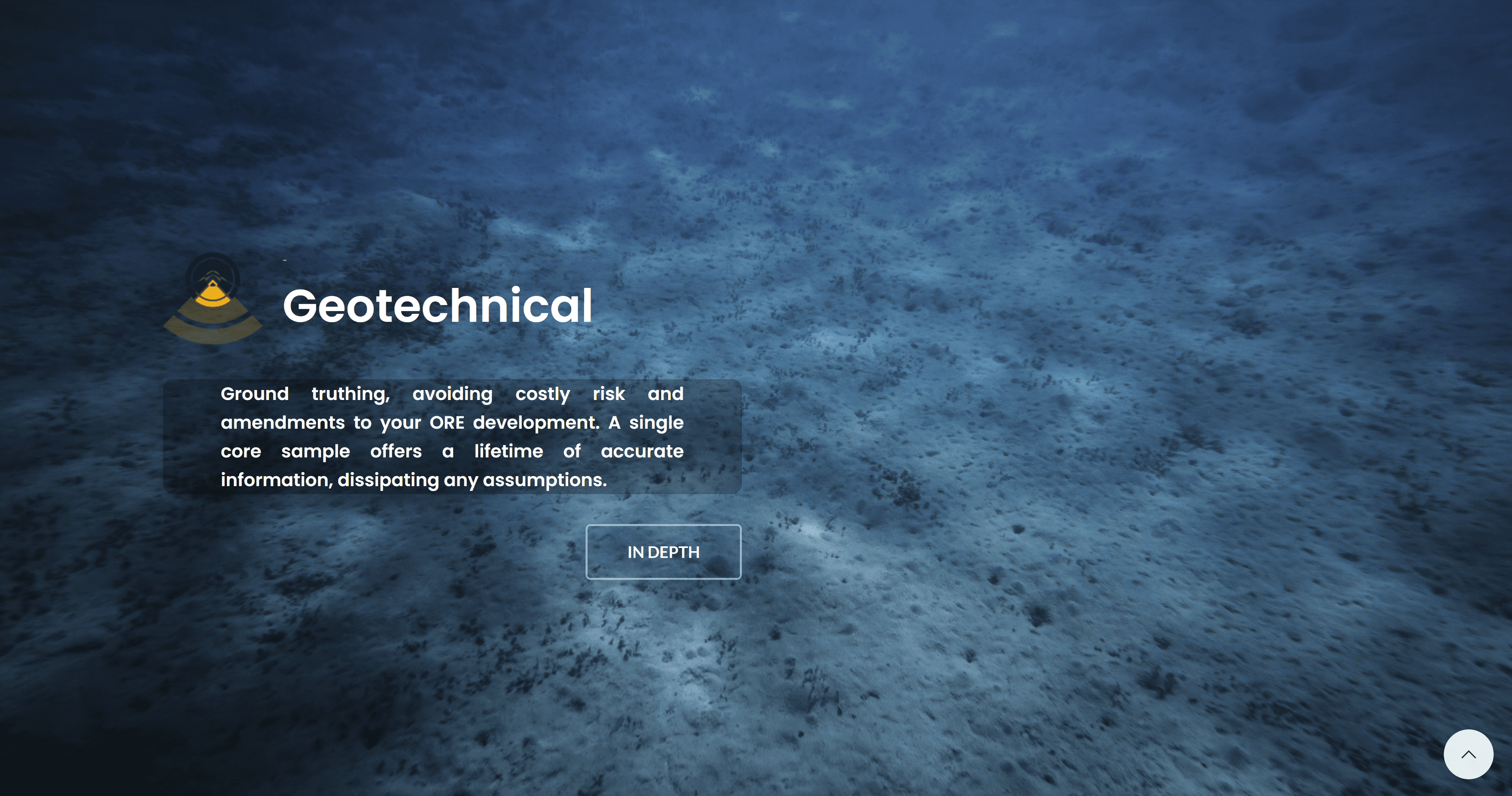 Humpback whale swimming – Supporting image for Irish ocean conservation brand.