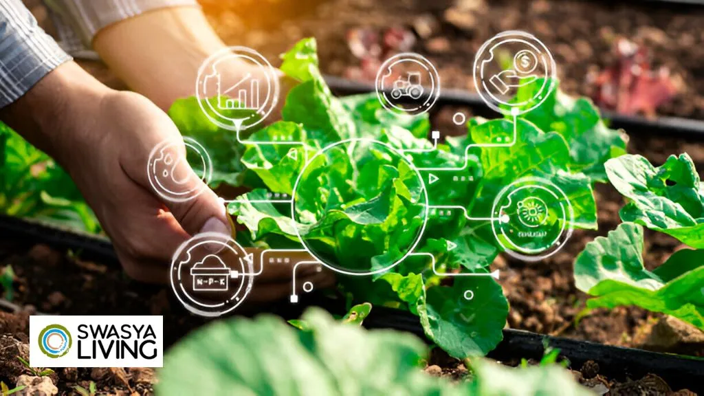 Market Your Farm Produce Locally