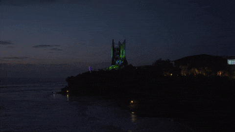 Minimal plant cutting with exposed roots in a clear glass bowl vase filled with water on a white background.