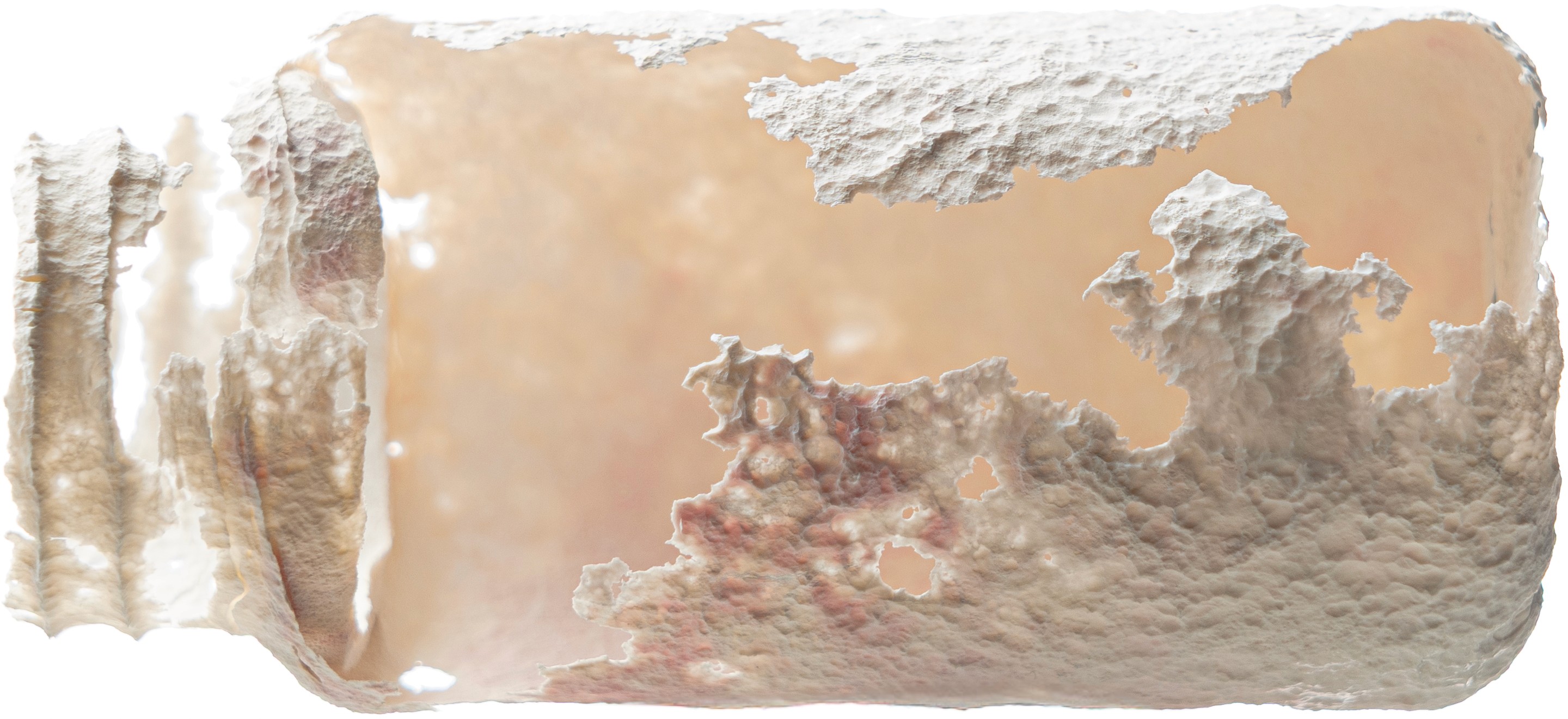 Biodegraded Wild roll-on deodorant refill bottles made from Vivomer material breaking down in soil. A plastic-free, microplastic-free alternative for sustainable personal care packaging.