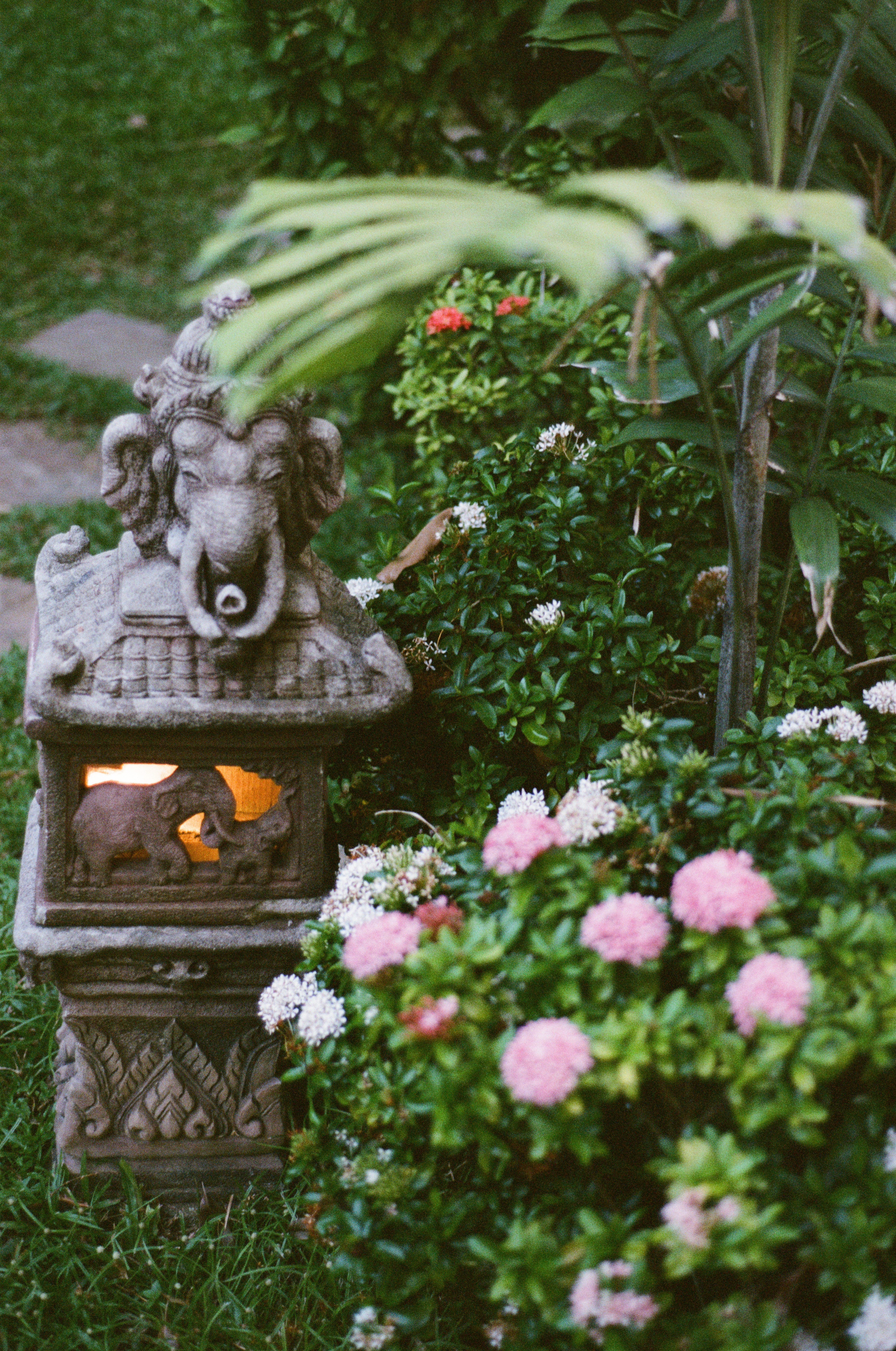 healthy thai food, women's yoga retreat thailand 2025