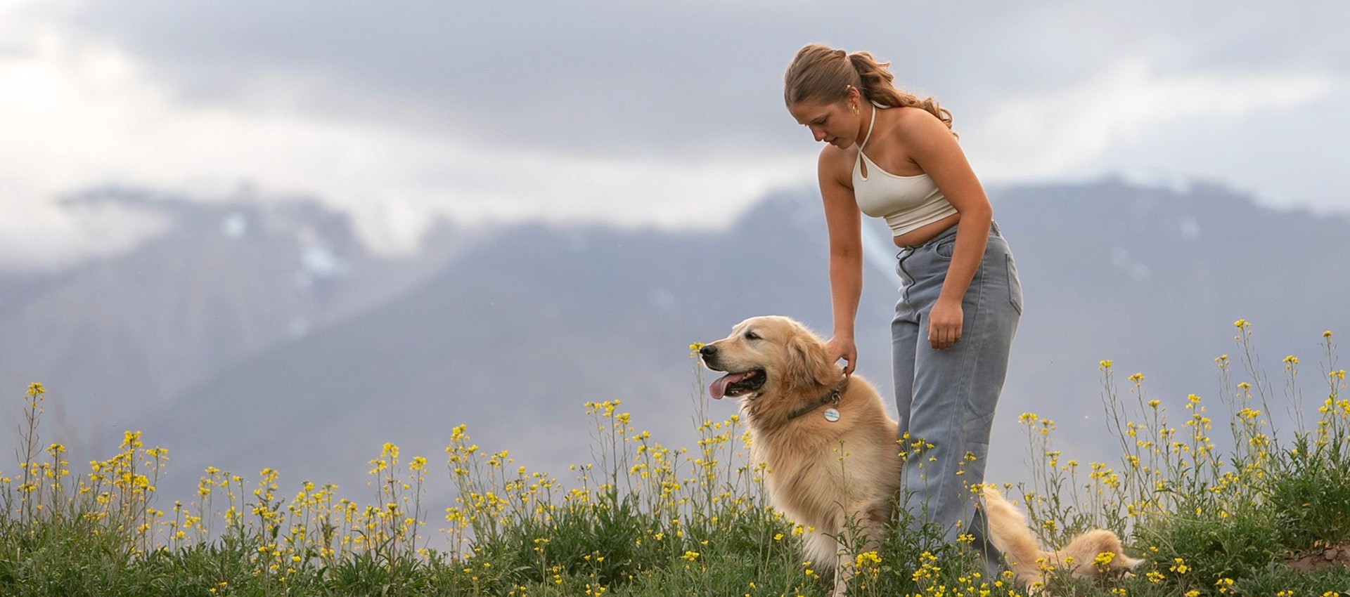 Pet Care