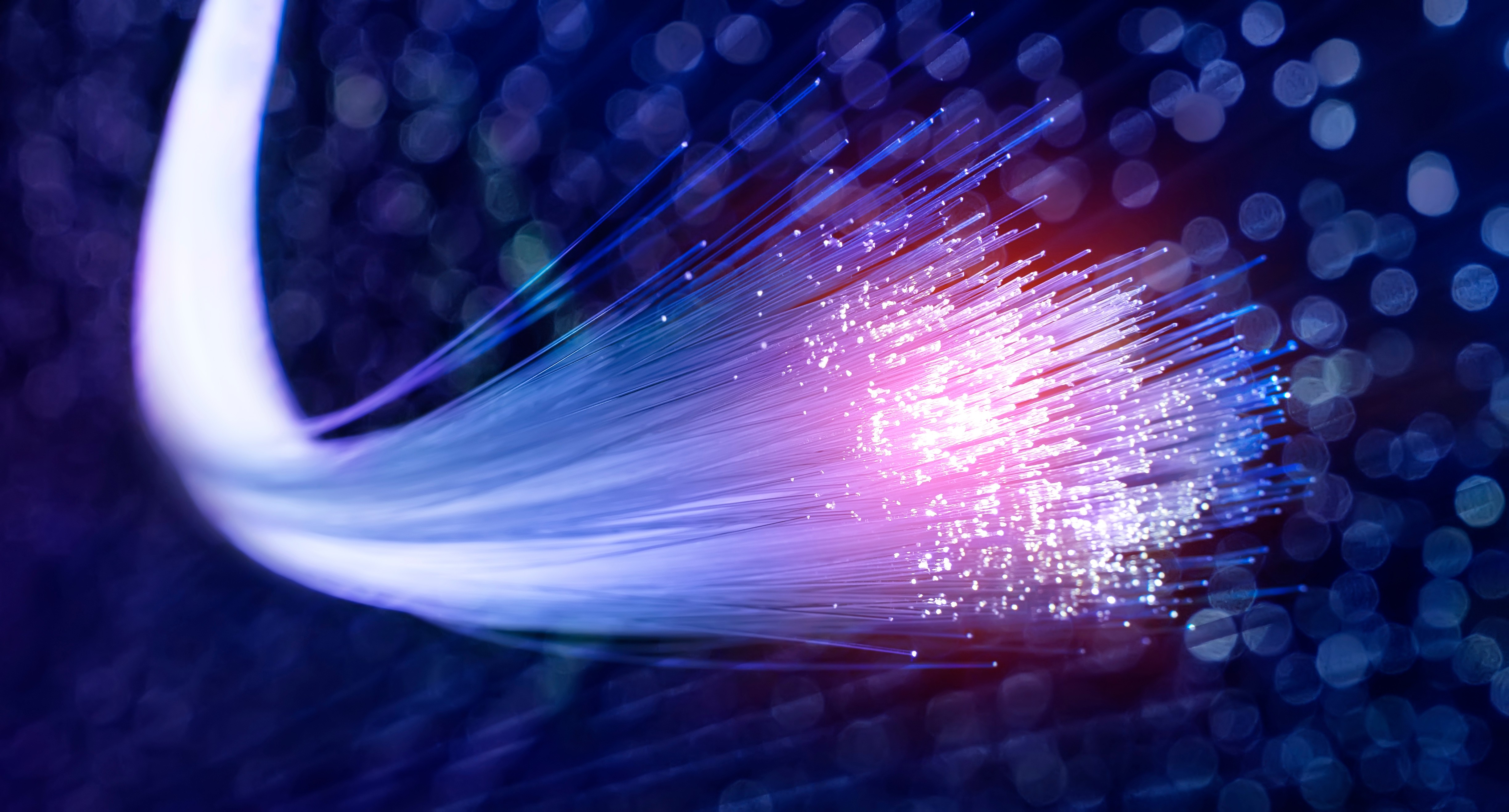Fibre Leased Lines