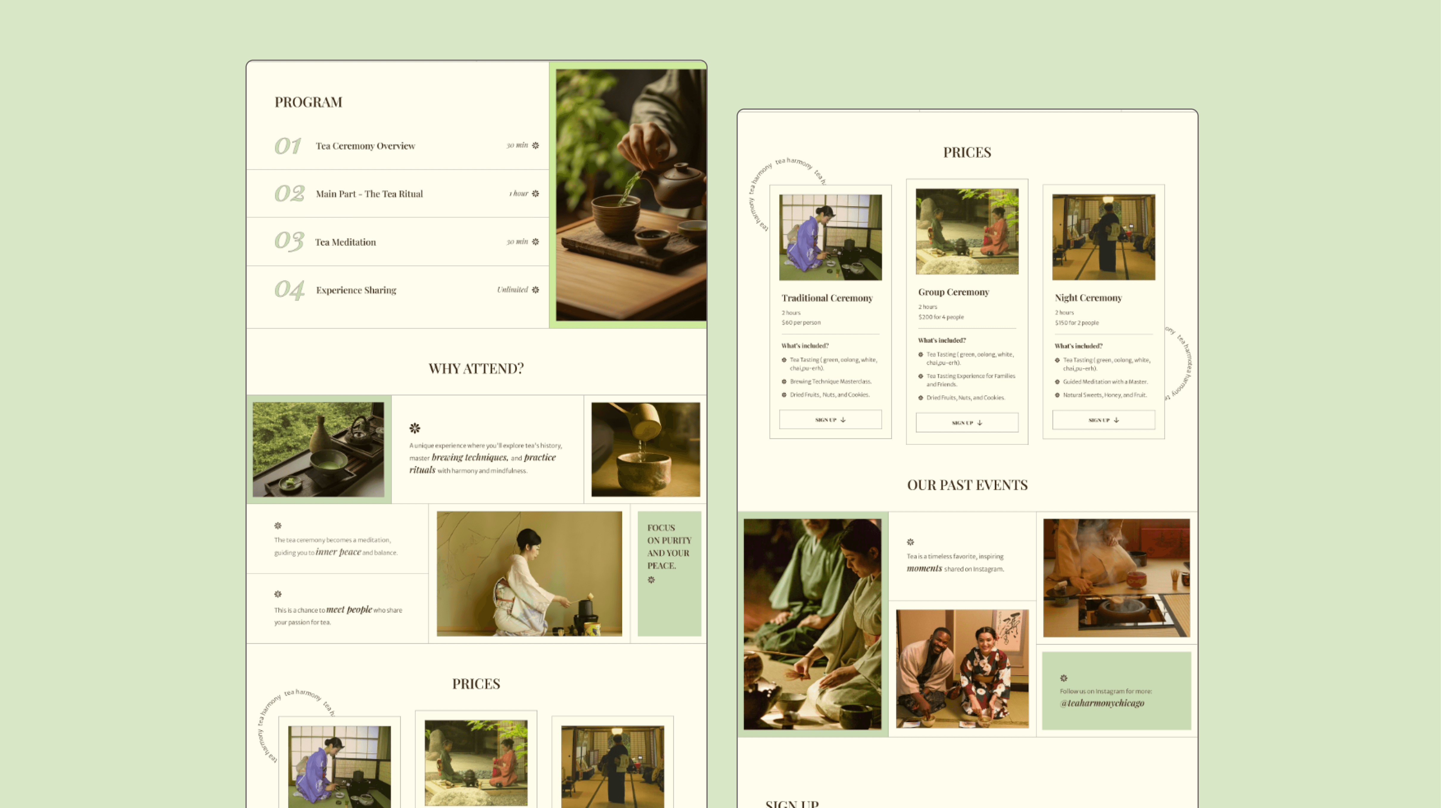 Landing page screens