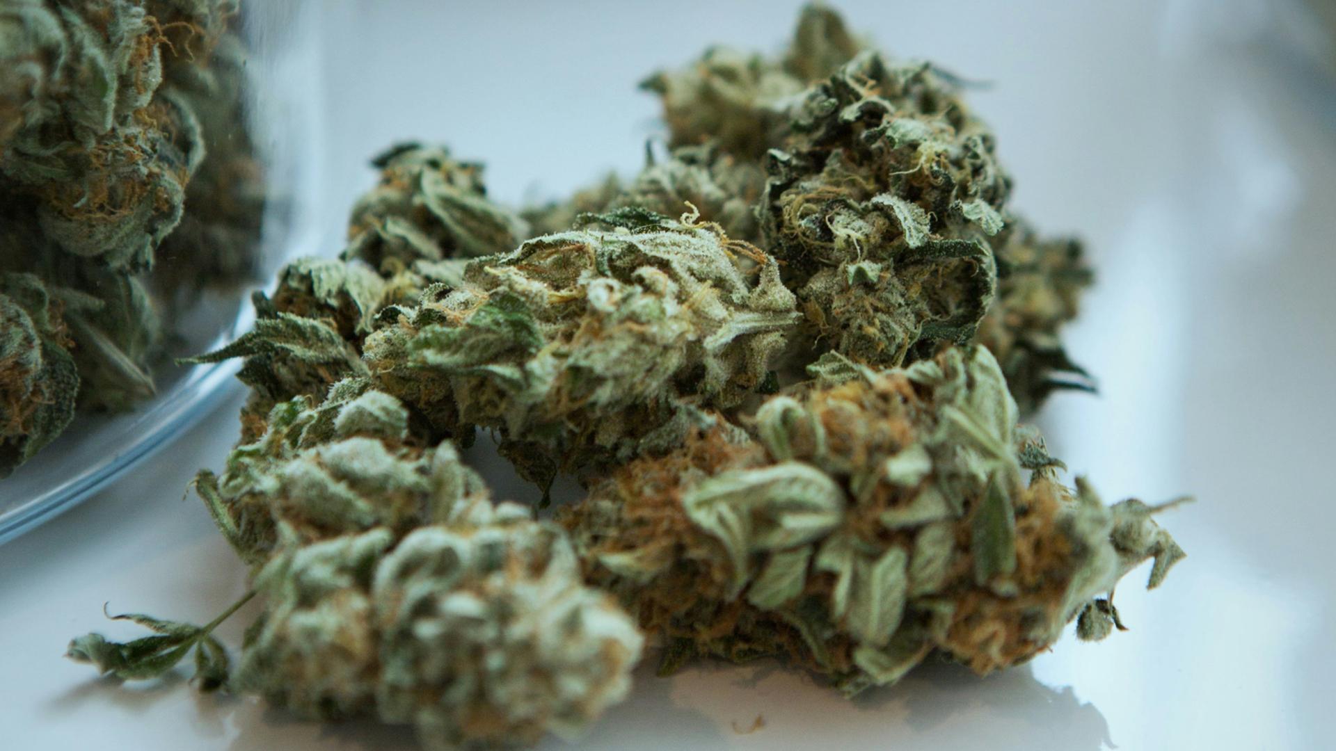 green kush on a white table