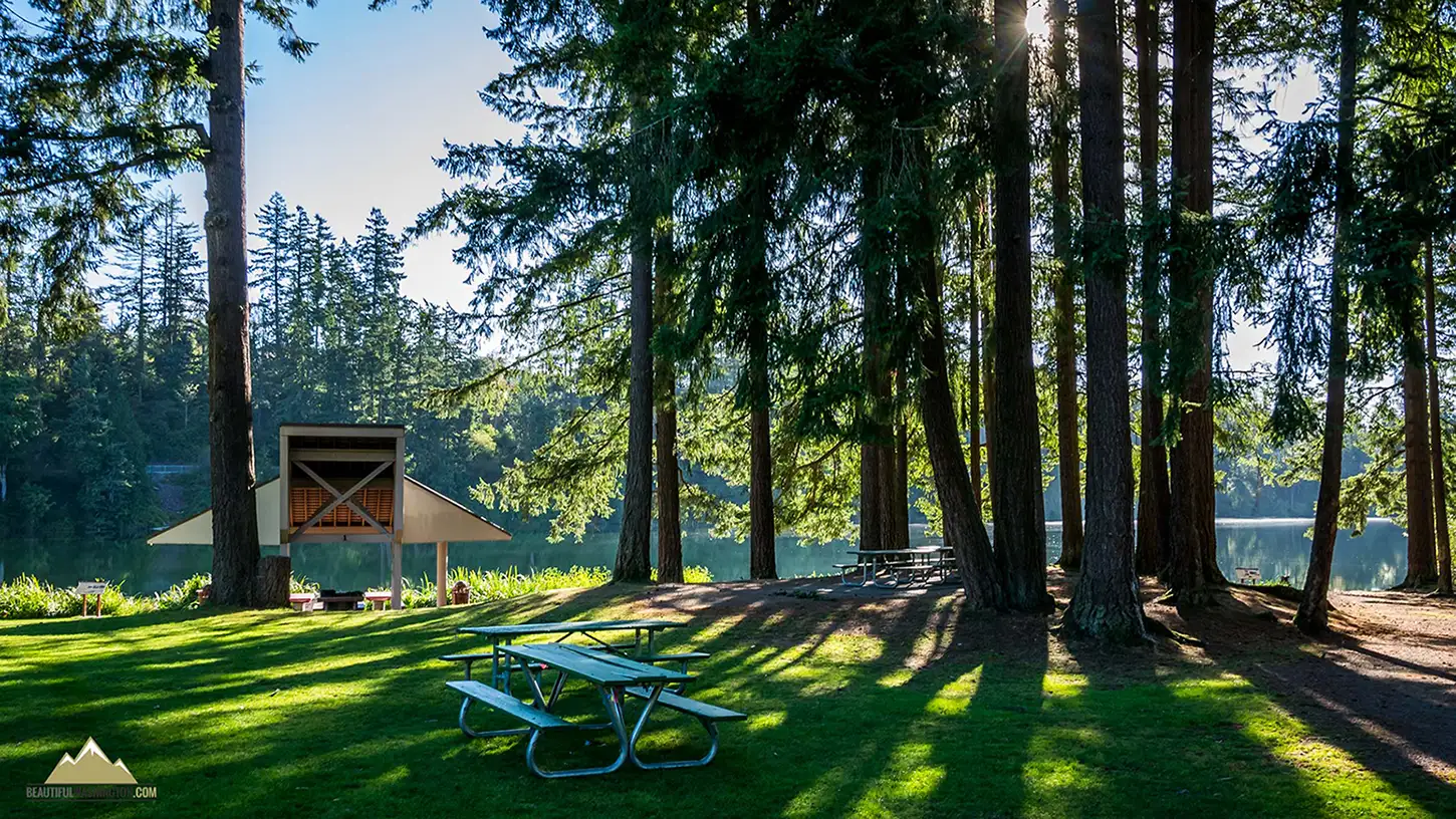 A park in the City of Maple Valley. There is a seating area looking out into a lake. There is a light blue bench in foreground, skinny tall conifer trees in the mid-ground, and an undercover barn-style seating area in the background. The lake is behind everything, followed by a forest of trees behind it.