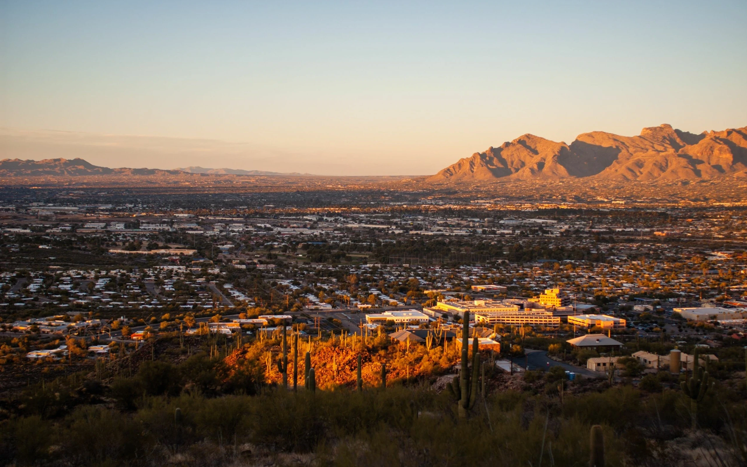 A vibrant cityscape framed by towering mountains in the background, highlighting the contrast between urban life and nature.