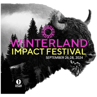 WINTERLAND IMPACT FESTIVAL