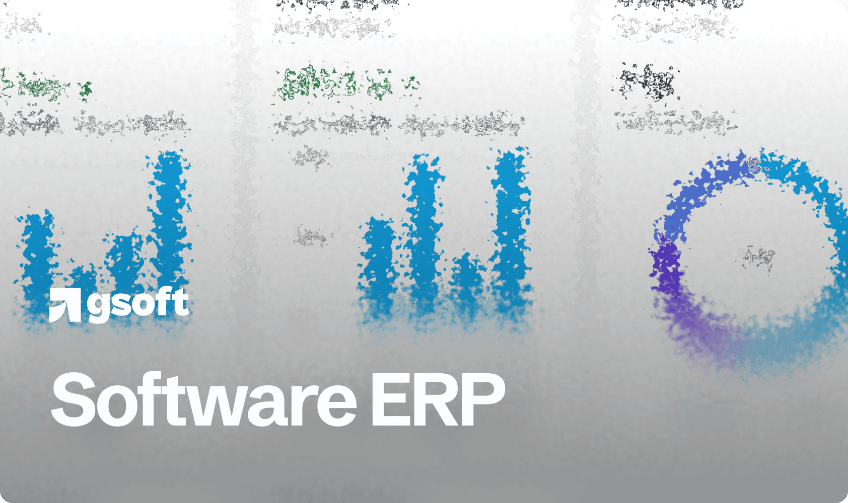 Software ERP (Gsoft)