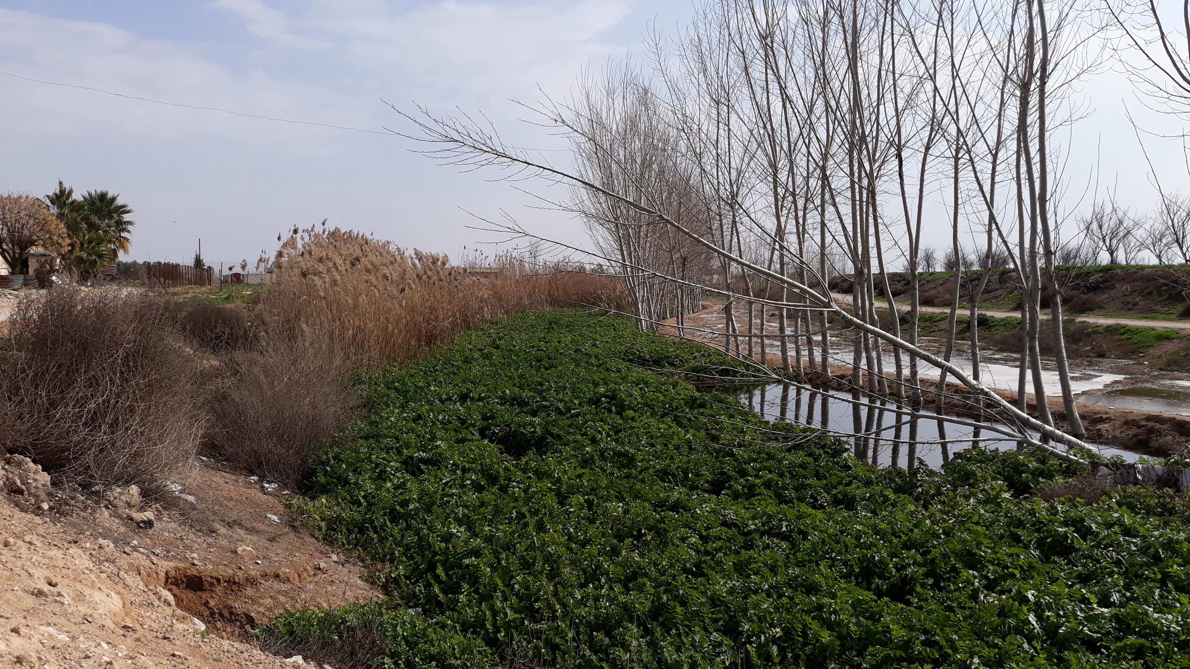metmar.studio: Water, Land, and Form: Comparative Infrastructures in New Mexico and Ghuta, Syria
