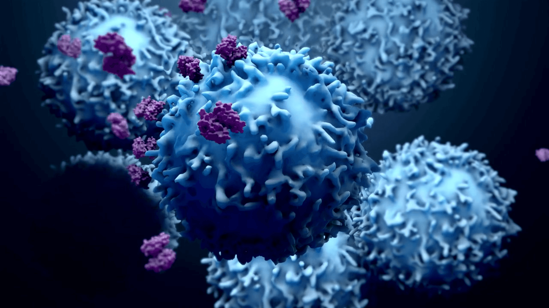 3D illustration of a dendritic cell, showcasing its detailed structure and role in immune response for medical education and immunology visualization.