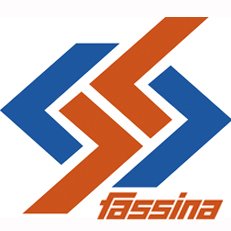 Fassina logistica logo
