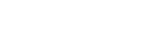 Sun Voice
