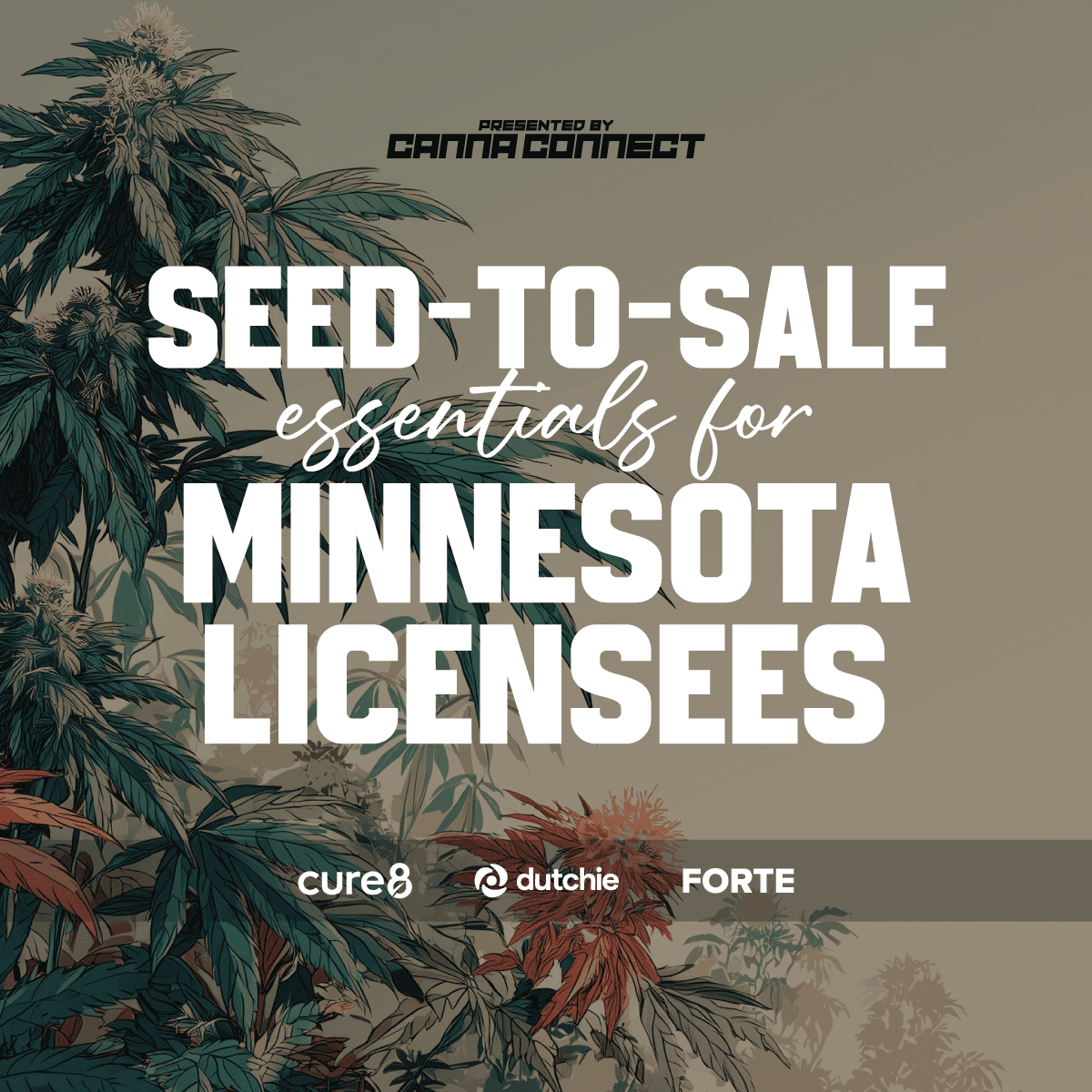 Seed-to-Sale Essentials for Minnesota Licensees