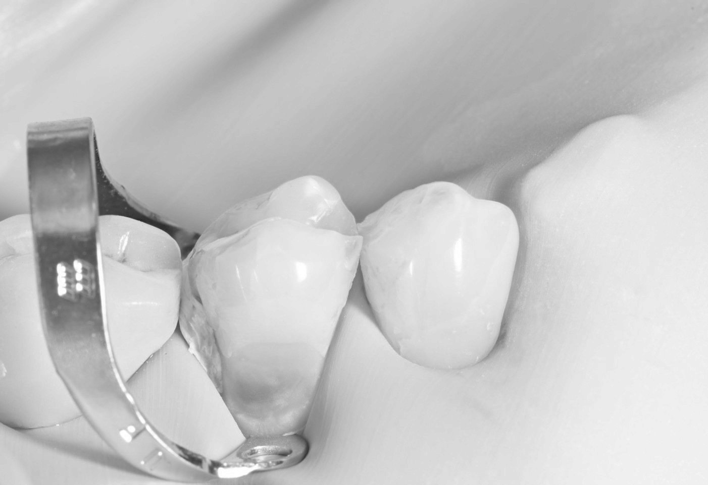 Group of girl portrait in the garden