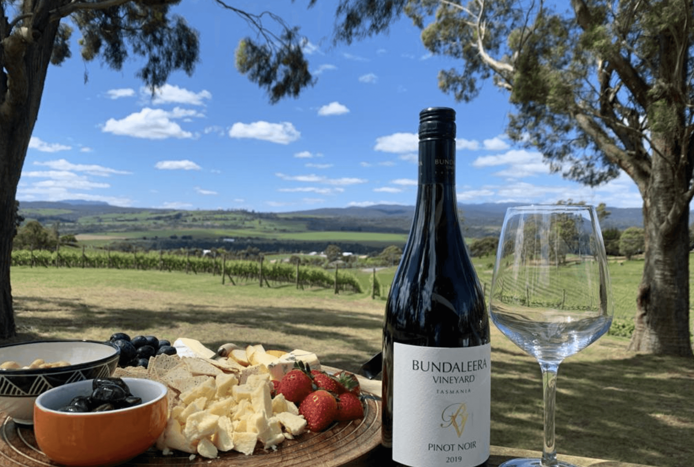 Bundaleera Wines winery