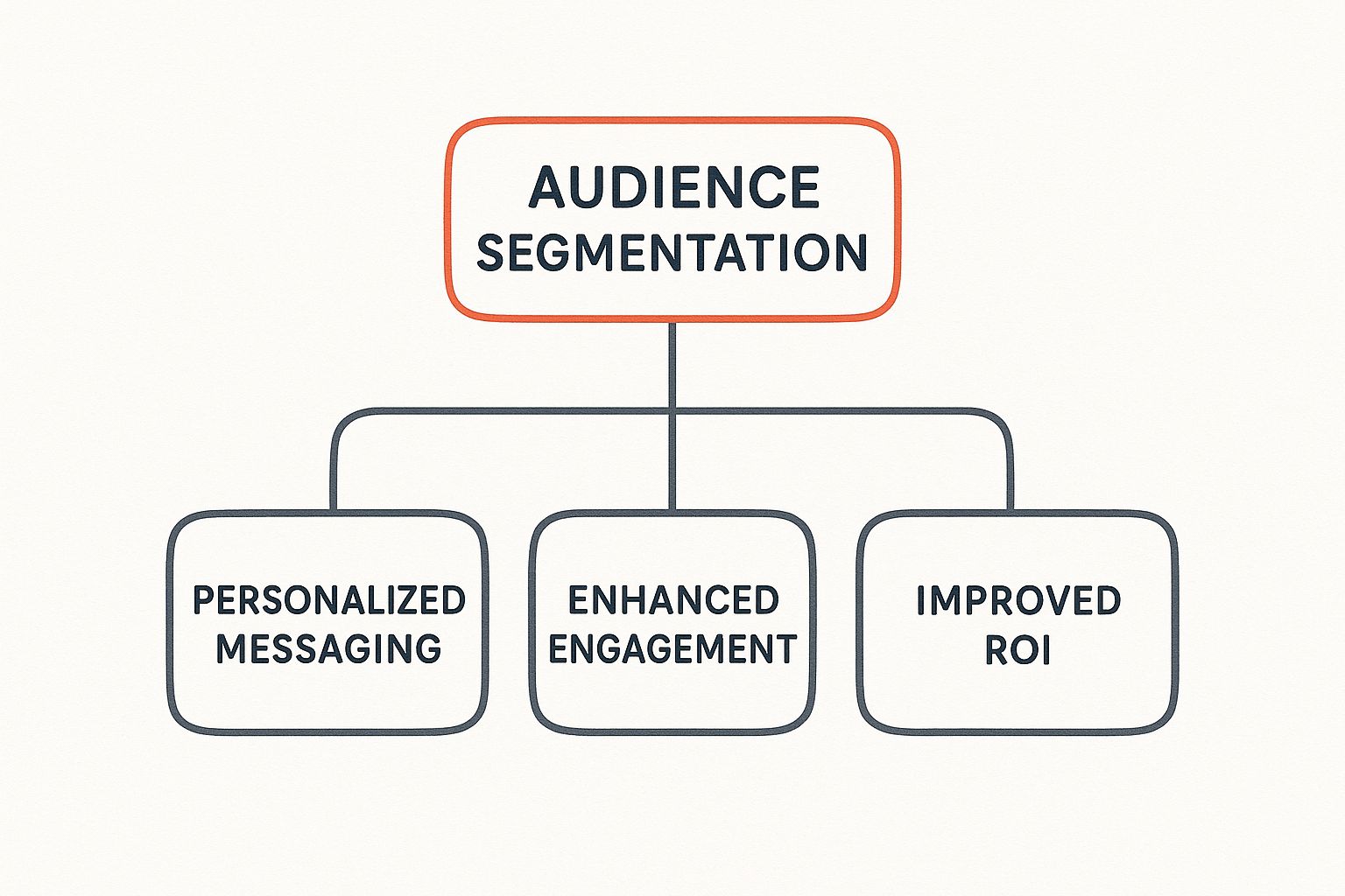 Infographic about what is audience segmentation