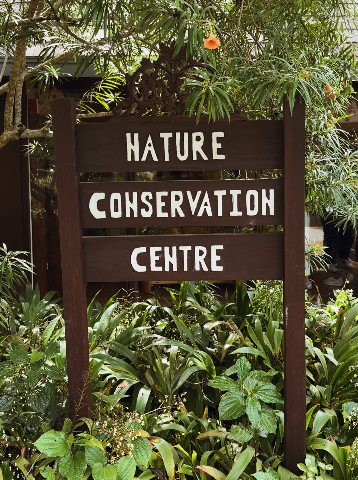 A wooden sign reading 'NATURE CONSERVATION CENTRE' surrounded by lush green plants at Tanjong Jara Resort.